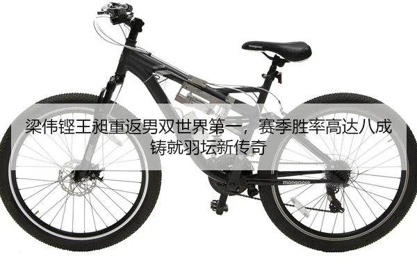 梁伟铿王昶重返男双世界第一，赛季胜率高达八成铸就羽坛新传奇