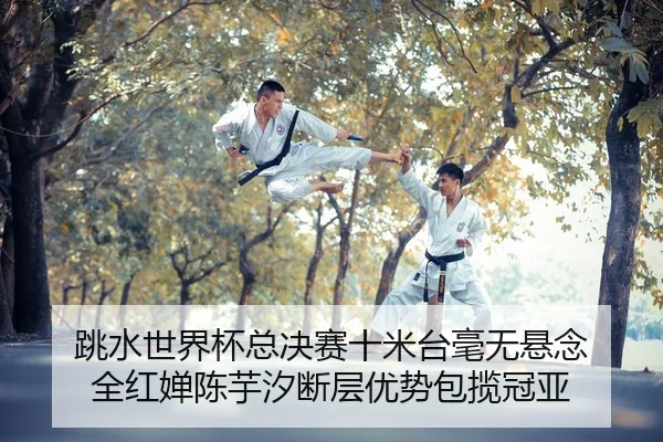 tiao-shui-shi-jie-bei-zong-jue-sai-shi-mi-tai-hao-wu-xuan-nian-quan-hong-chan-chen-yu-xi-duan-ceng-you-shi-bao-lan-guan-2-514.jpg